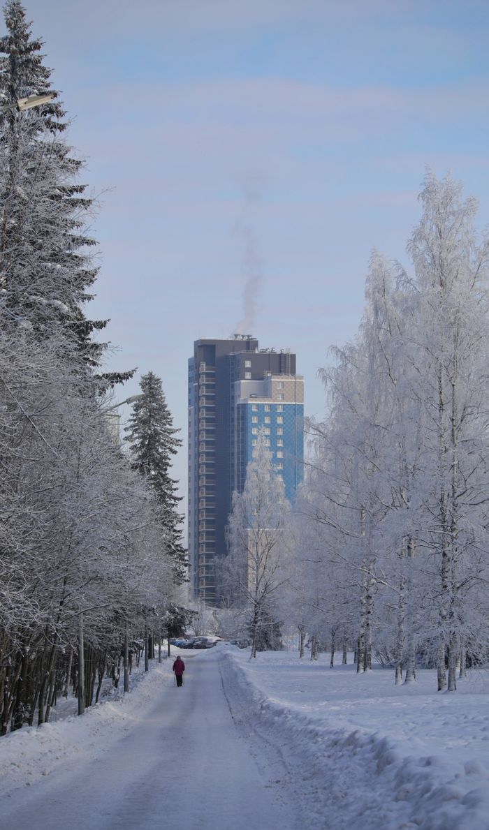 A person walks down a snowy path with frost-covered trees and a skyscraper in view.